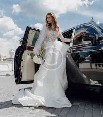 img-035-copyright1.jpg